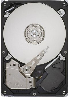 Hard Disk pentru supraveghere video,model ST1000VM002